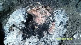 DSCF0260.webp