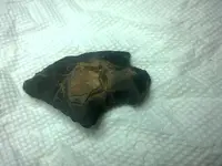 2014-09-27 09.08.50.webp