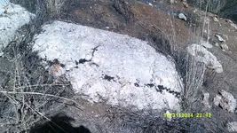 DSCF0262.webp