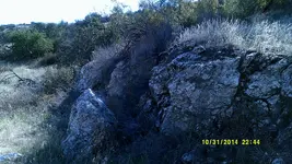 DSCF0266.webp