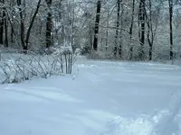DSCF0003.webp