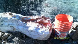 DSCF0282.webp