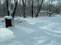 DSCF0004.webp