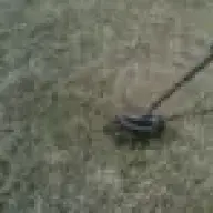 jefg231