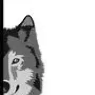 Bad Wolf