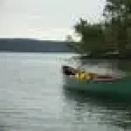 yelnif