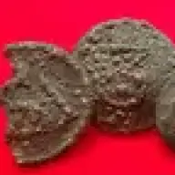 Patriot Relics