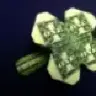 Silver Celtic