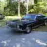 Florida Native