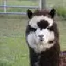 siralanderon