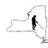 New York Metal Detecting