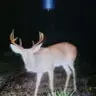 flbowhunter