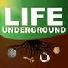 Life Underground