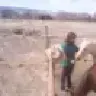 jomines
