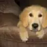 MXTDoug