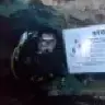 zendiver82