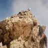desert_rat95
