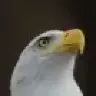 SkateCreek