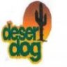 desert dog