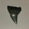 GravelTeeth