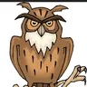 Brown owl