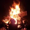 Woodsmoke79