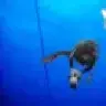 fredshipwrecks