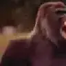 gorilla202