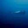 Blue Water