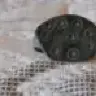 Dunapentele
