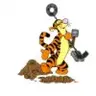 Tigger0861