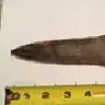 Ctrustme