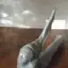 lakedweller