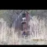 Goldhunter1119