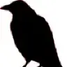Konrad