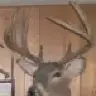 Deerhunten