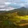 TheProspector