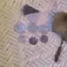 benjamin68