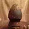 MSdirtdauber