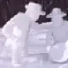ivory53