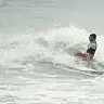 SurfingDigger