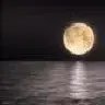 Alamosmoon