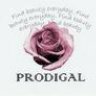 prodigalcollectibles