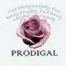 prodigalcollectibles