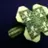 Silver Celtic