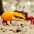 SandFiddler