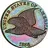 Eagle Eye Rare Coins