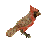 John987