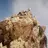 desert_rat95