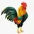 Rooster 777